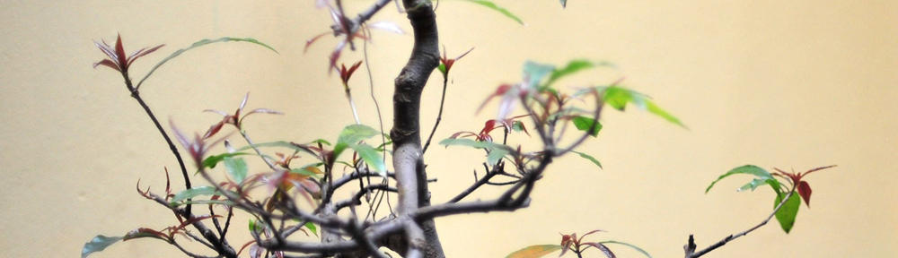 謎の超古代巨石遺跡の真実